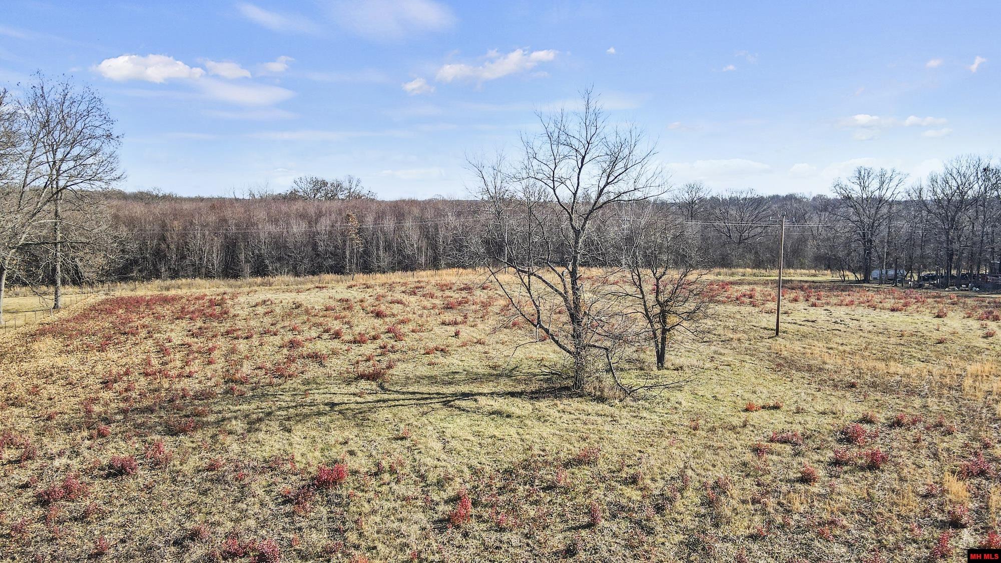 1753 PRIVATE ROAD 8650 West Plains MO Acreage For Sale Listing