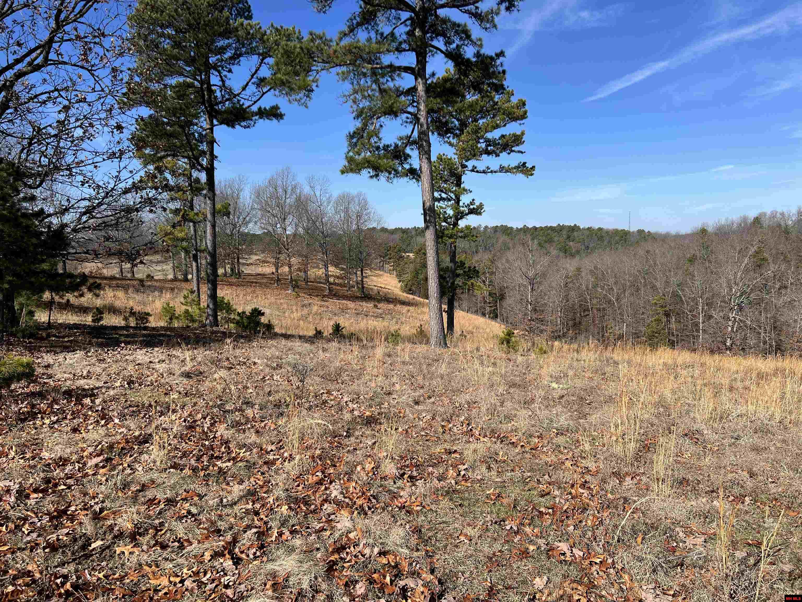 001-09080-000 MC 3042 Yellville, AR 72687