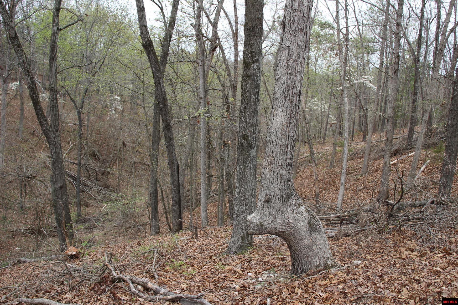 Tract 1,2,3&4 N Hwy 125