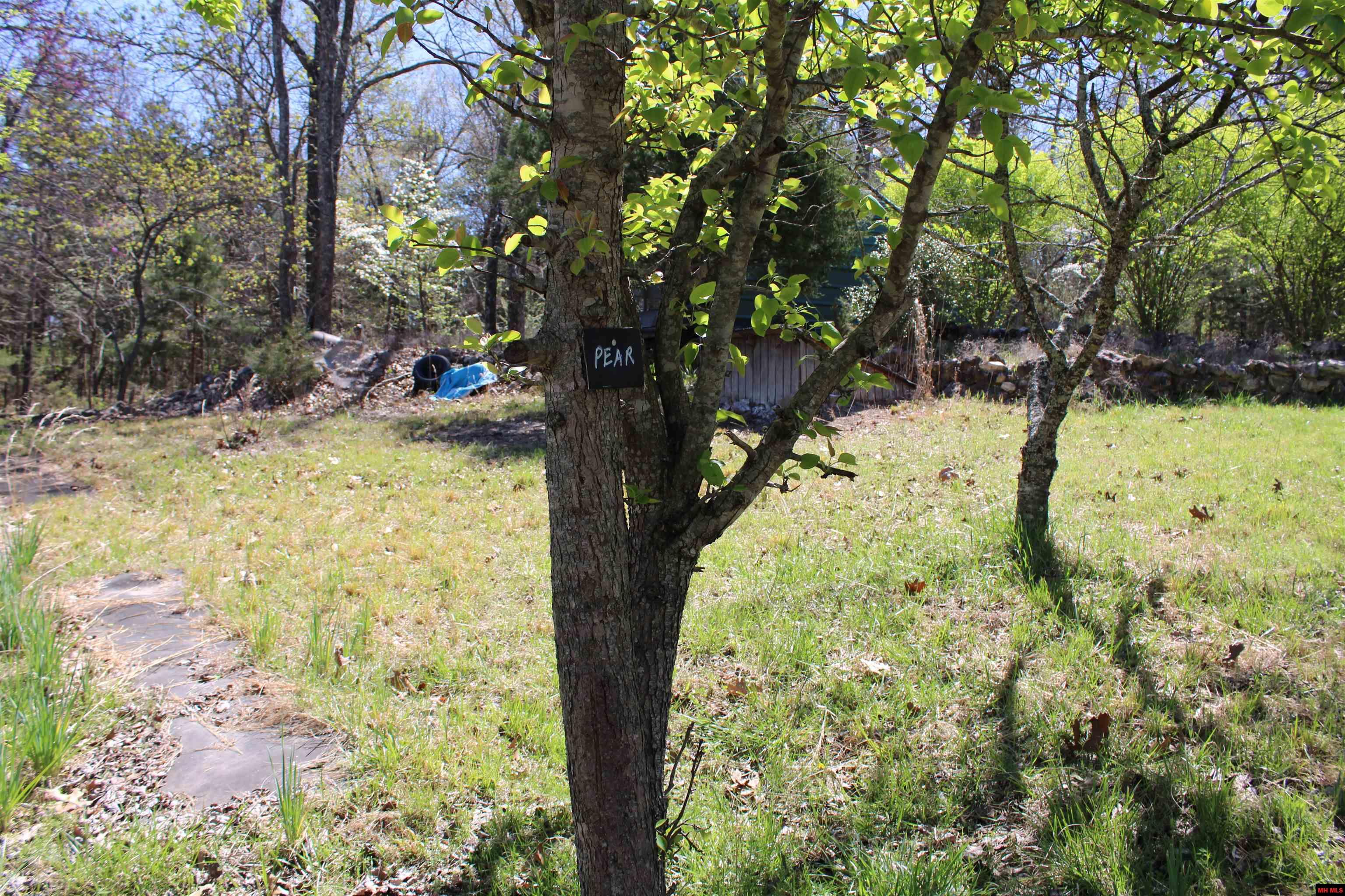 534 OAKLEY ROAD Mountain Home, AR 72653