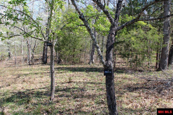 534 OAKLEY ROAD Mountain Home, AR 72653