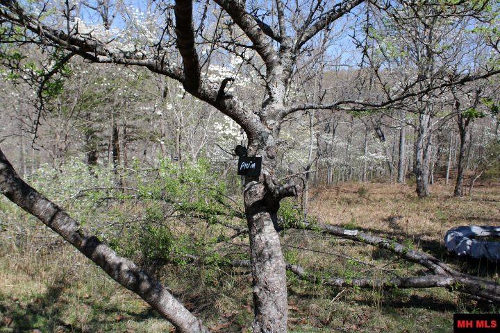 534 OAKLEY ROAD Mountain Home, AR 72653