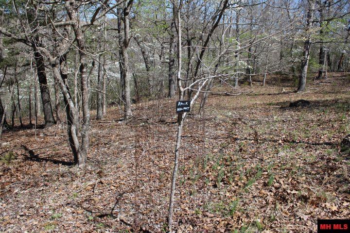 534 OAKLEY ROAD Mountain Home, AR 72653