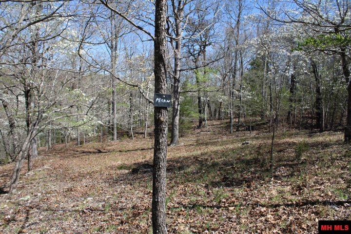 534 OAKLEY ROAD Mountain Home, AR 72653