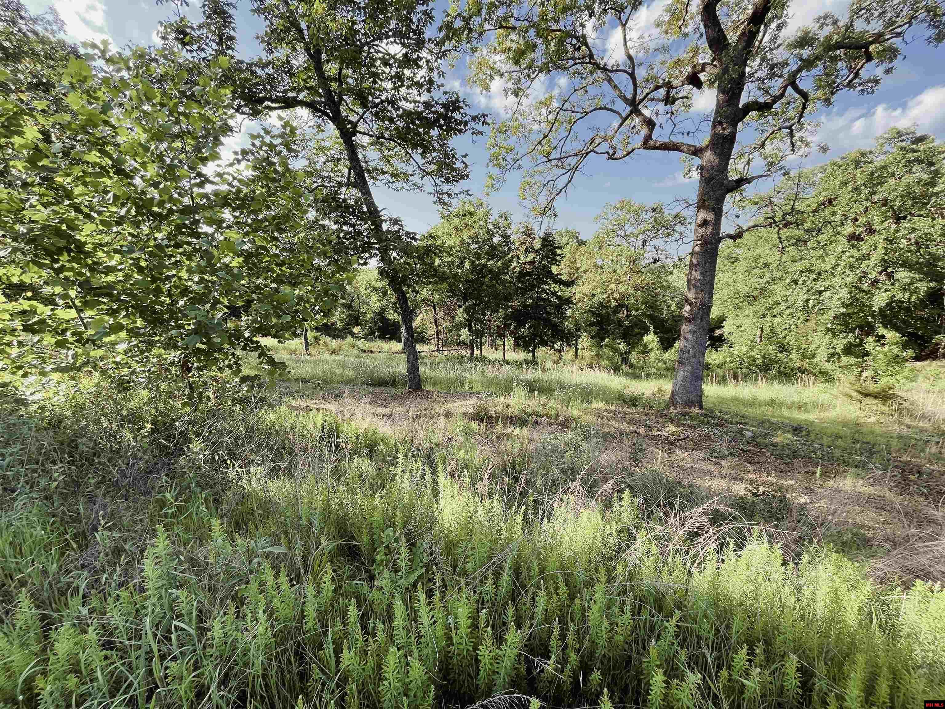 9 MC 124 Oakland, AR