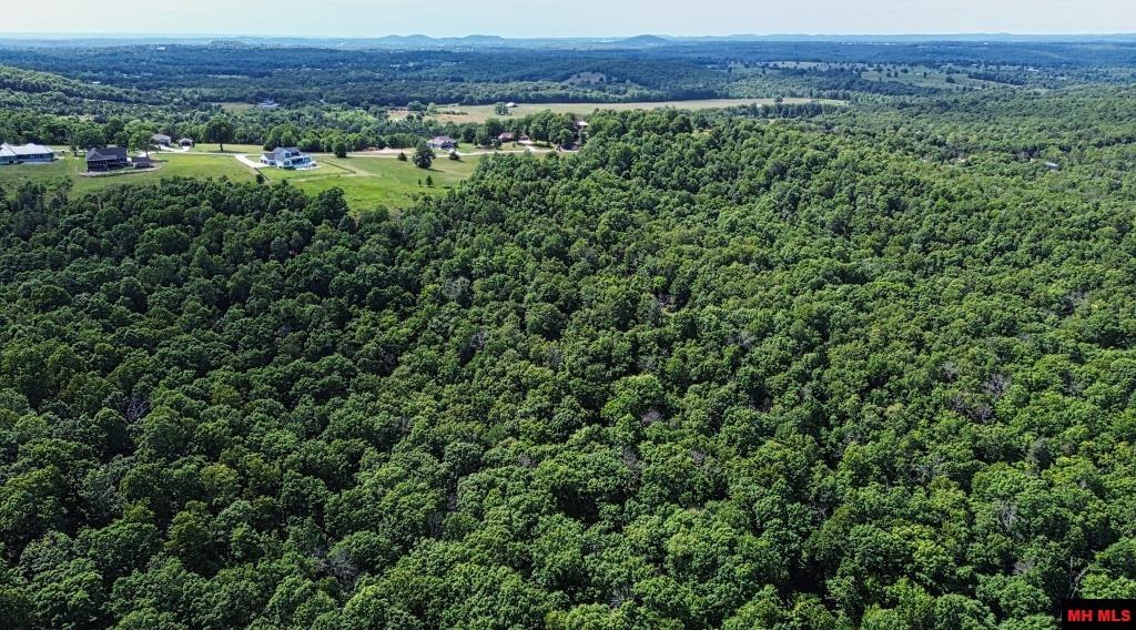 Tract C Swiss Mountain Drive