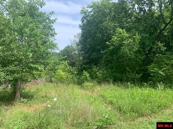 1094 N MAPLE STREET Yellville, AR