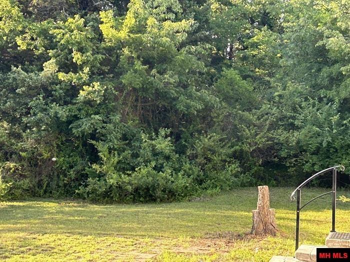 1094 N MAPLE STREET Yellville, AR