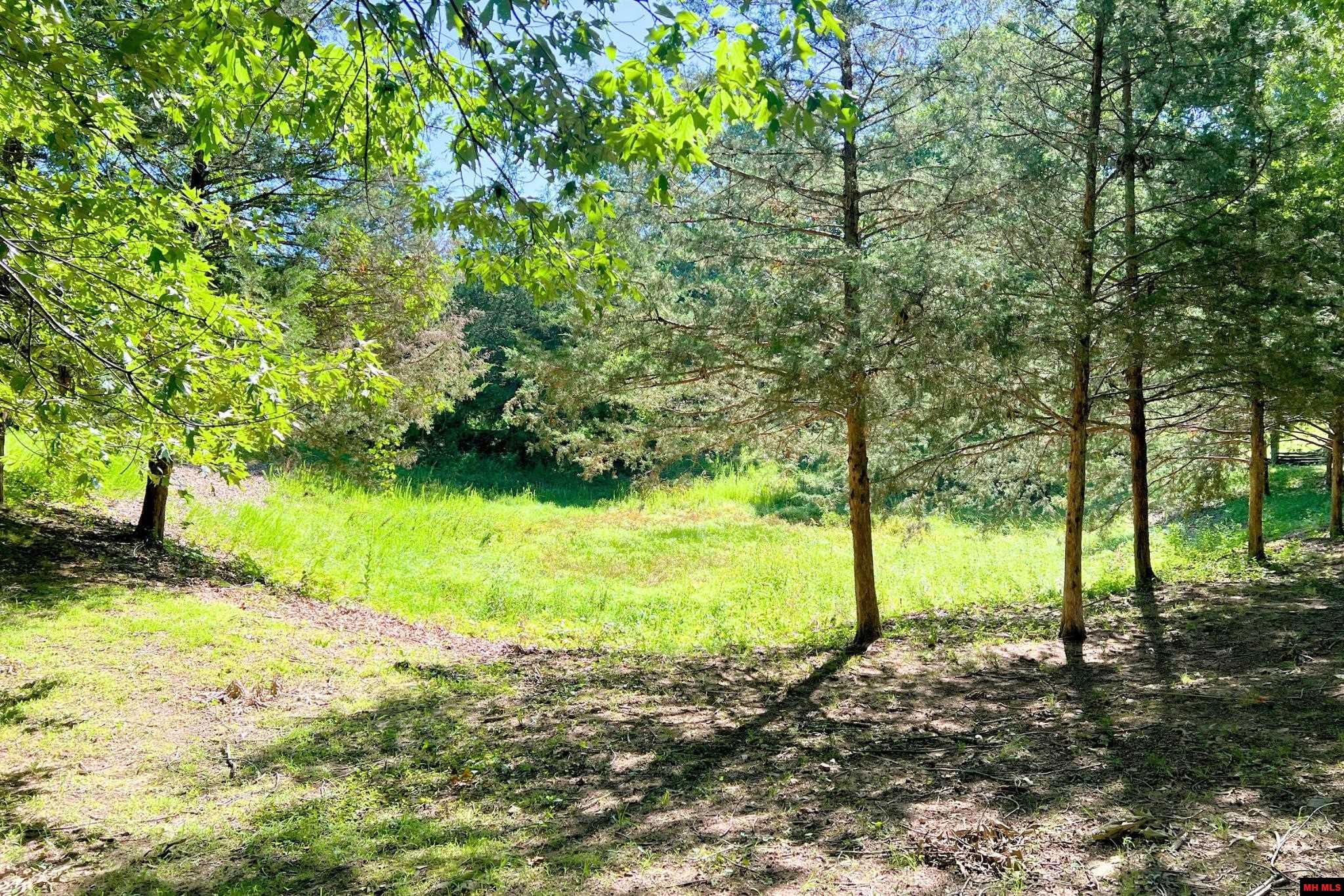 1229 BUFORD SPUR Mountain Home, AR