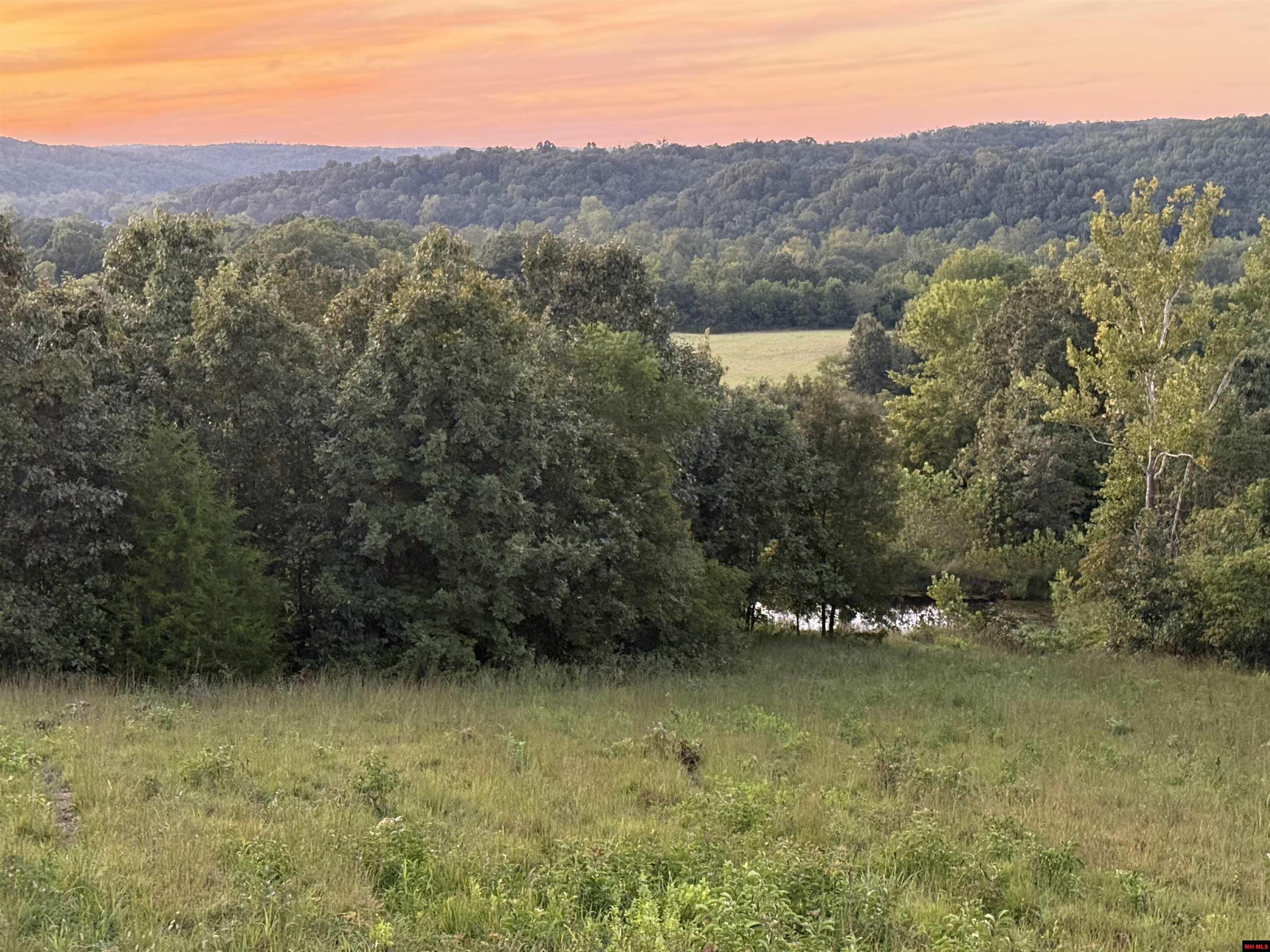 320624000000001 HWY 137 Willow Springs, MO