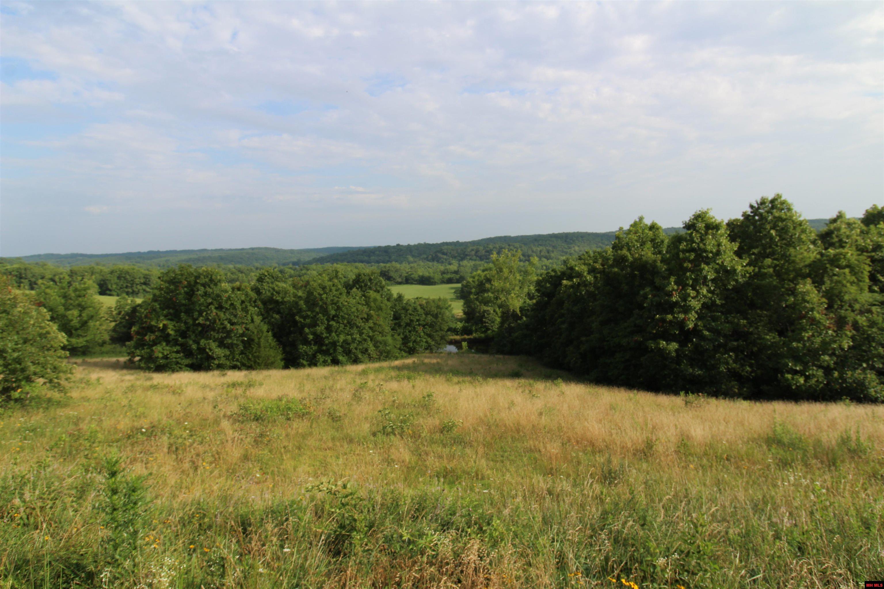 320624000000001 HWY 137 Willow Springs, MO