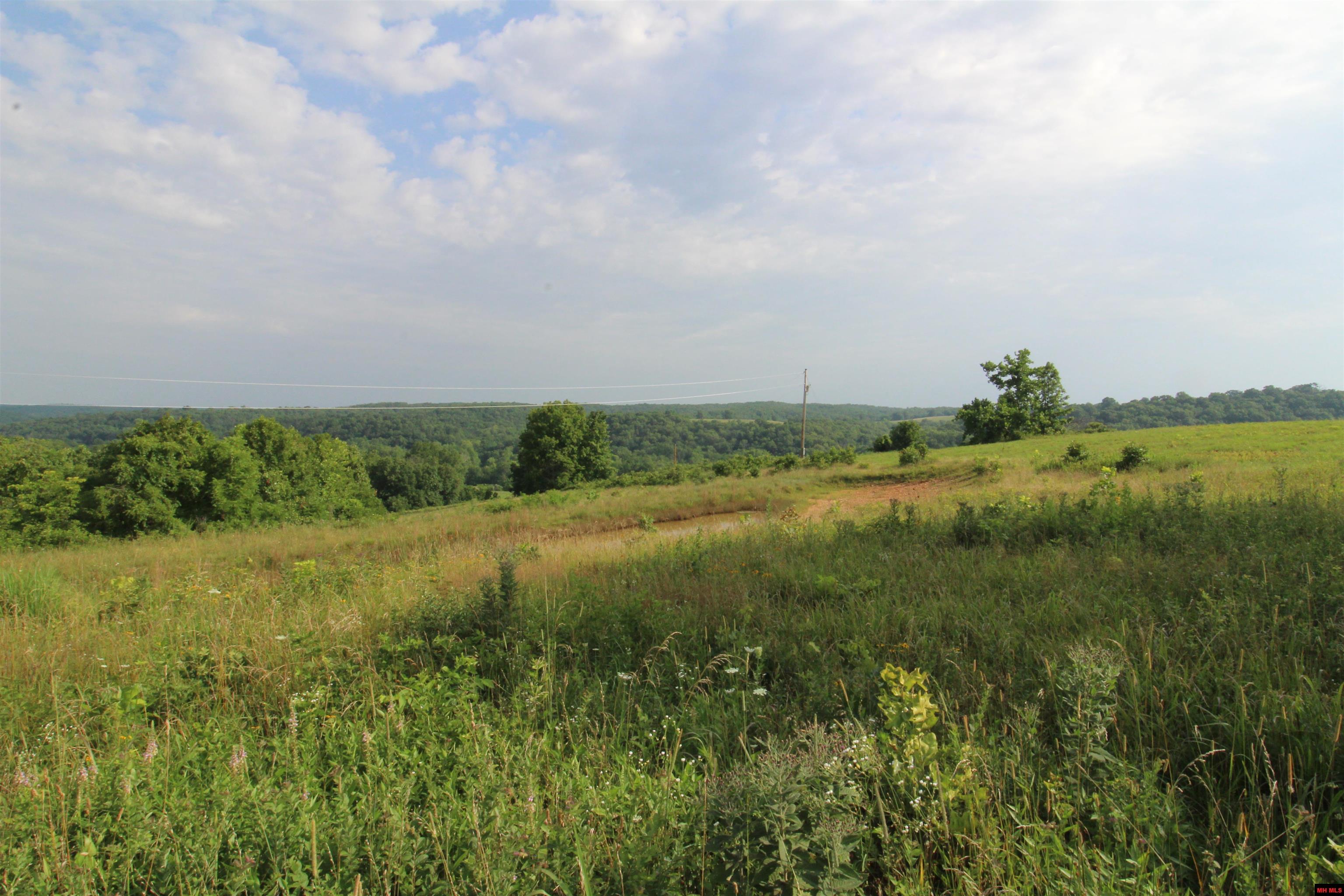 320624000000001 HWY 137 Willow Springs, MO
