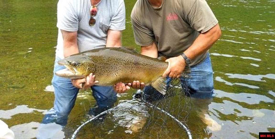 110 McLEAN AVENUE Cotter, AR