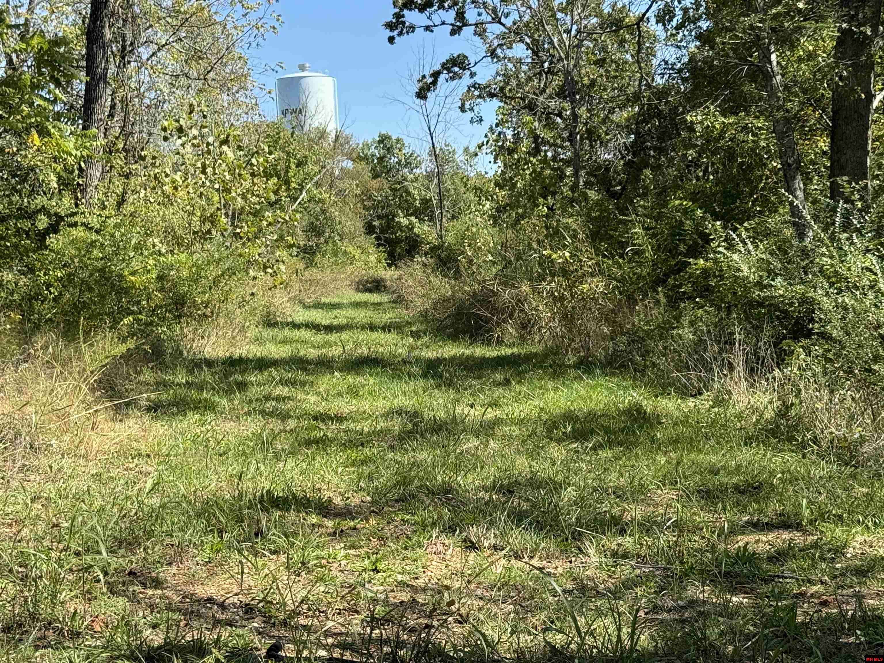 124 DEARDOFF LANE Mountain Home, AR