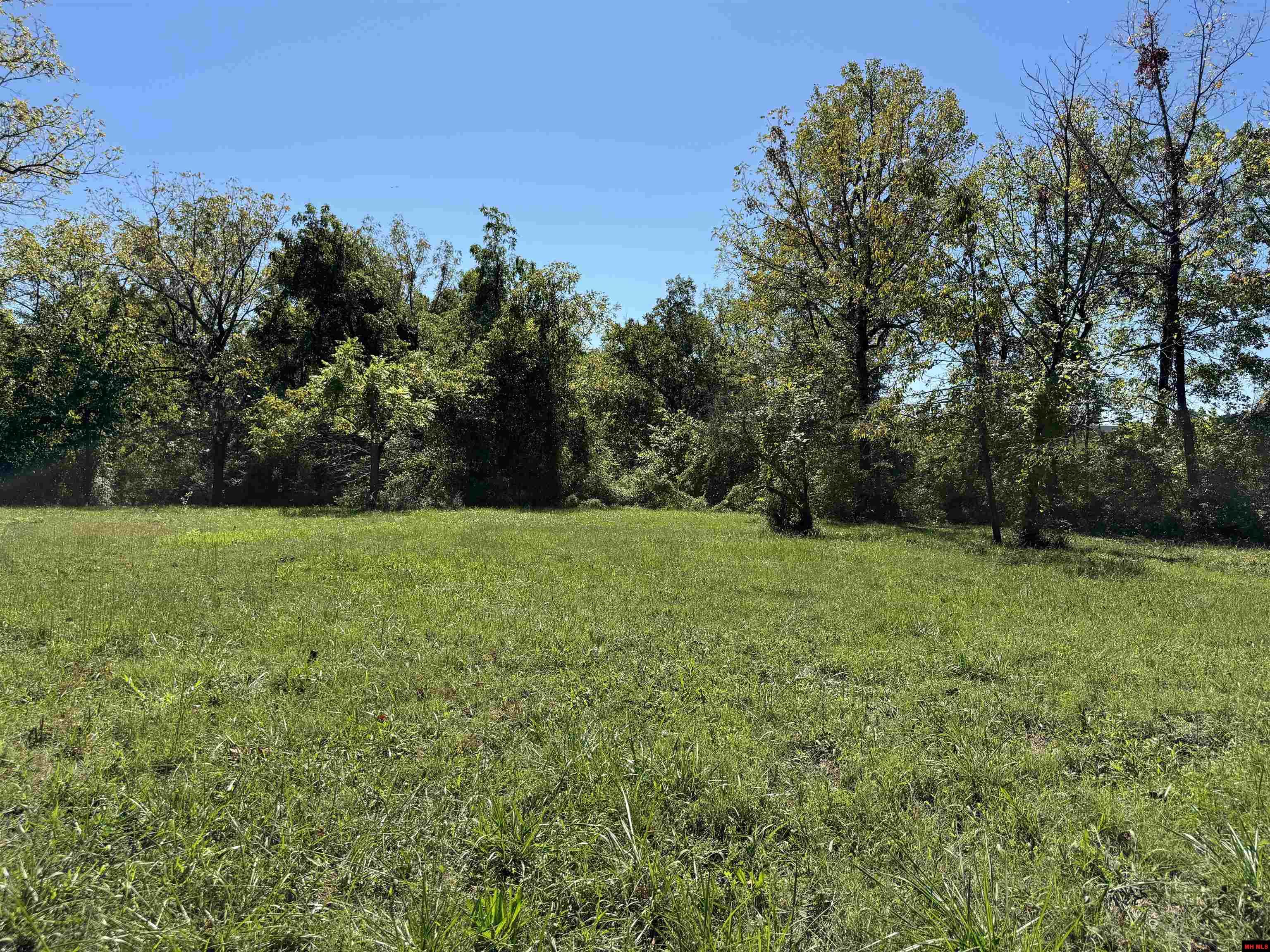124 DEARDOFF LANE Mountain Home, AR