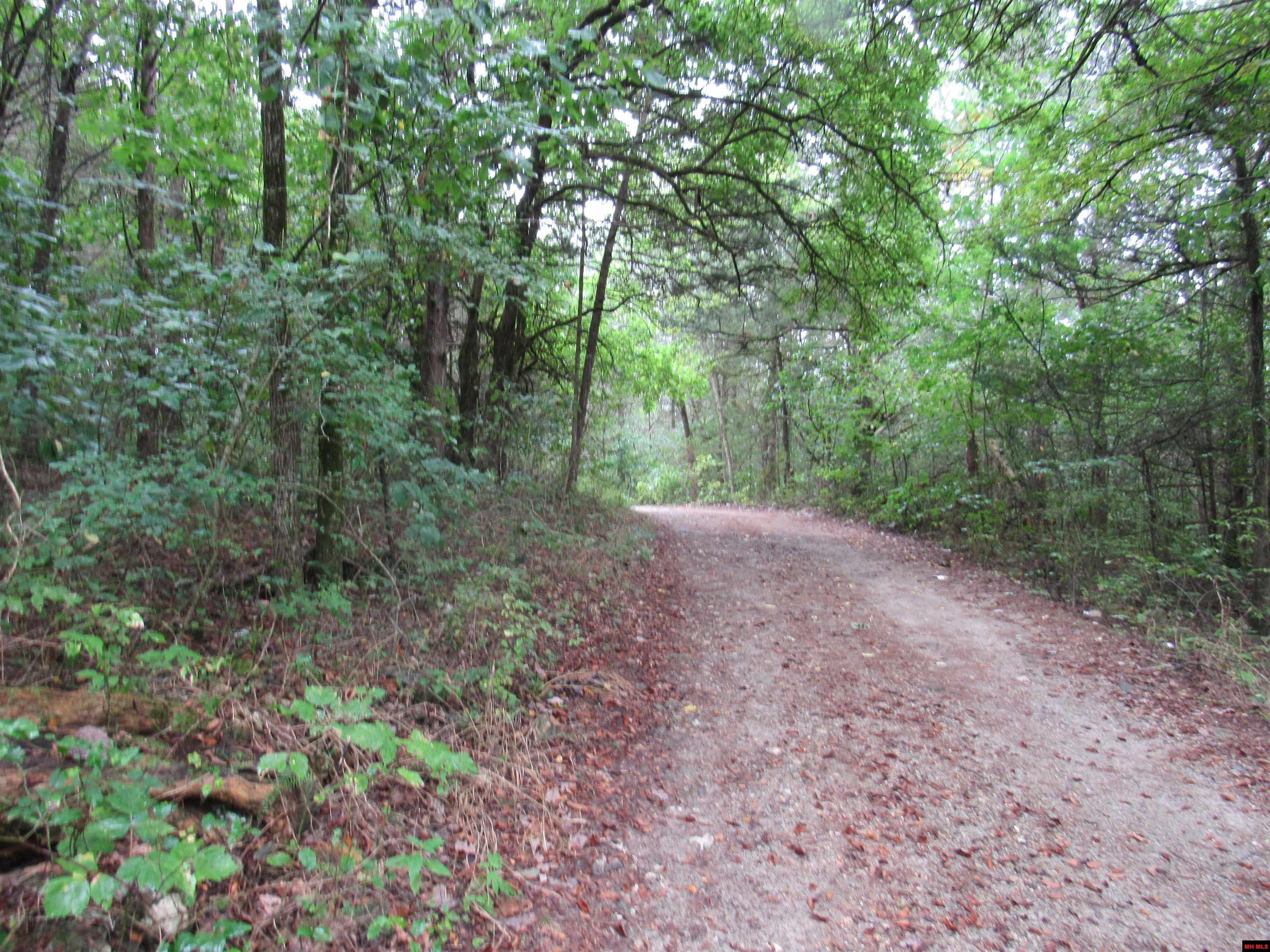 780-00368-000 FORSYTH AVENUE Pyatt, AR 72672