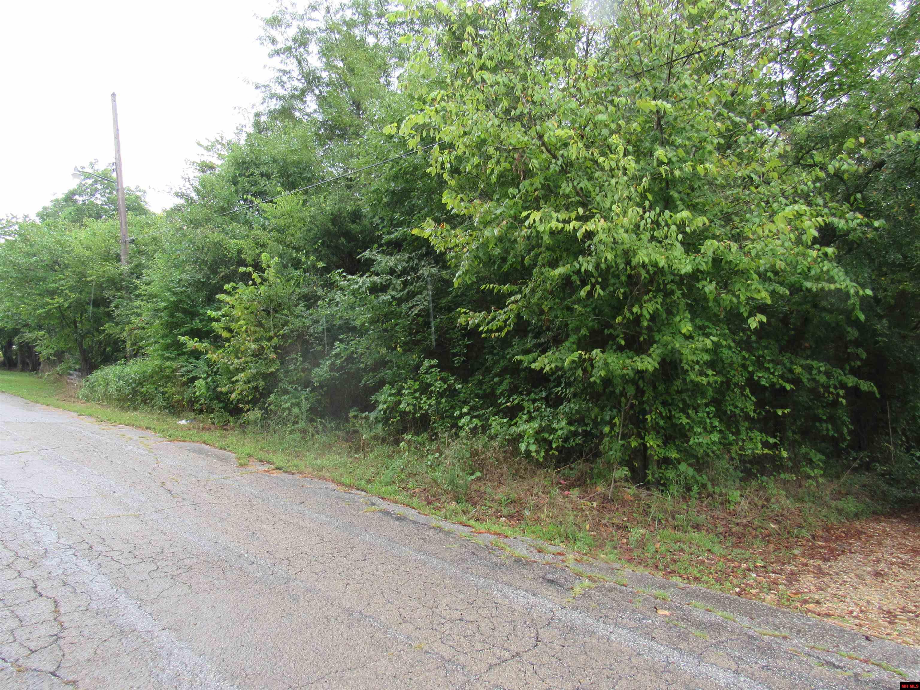 780-00368-000 FORSYTH AVENUE Pyatt, AR 72672