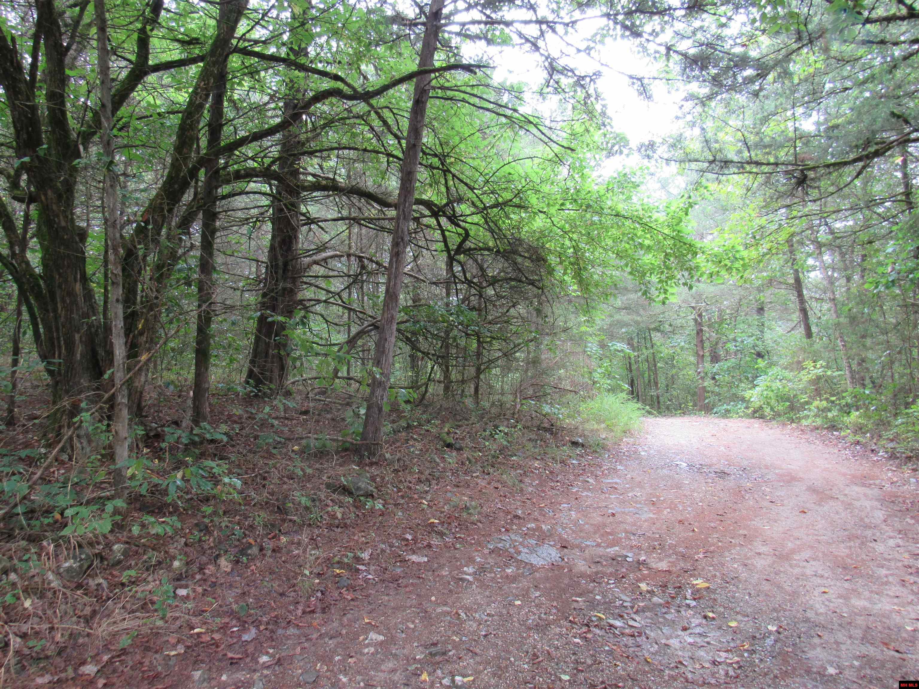 780-00368-000 FORSYTH AVENUE Pyatt, AR 72672