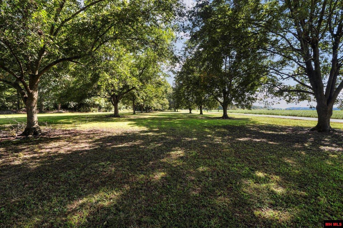 158 Clay 125 Rd MC 125 Corning, AR 72422