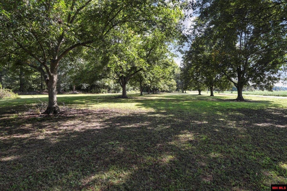 158 Clay 125 Rd MC 125 Corning, AR 72422