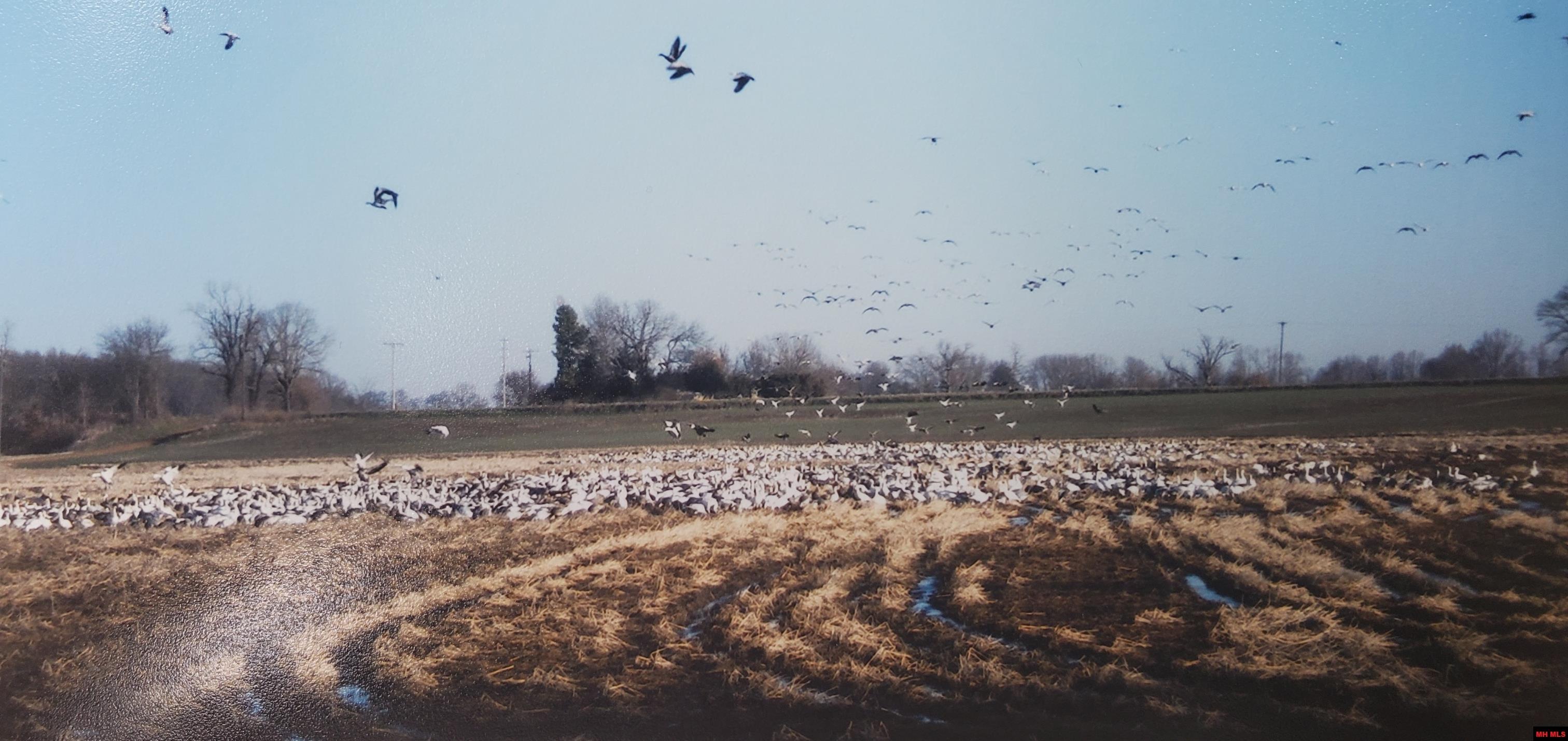 158 Clay 125 Rd MC 125 Corning, AR 72422