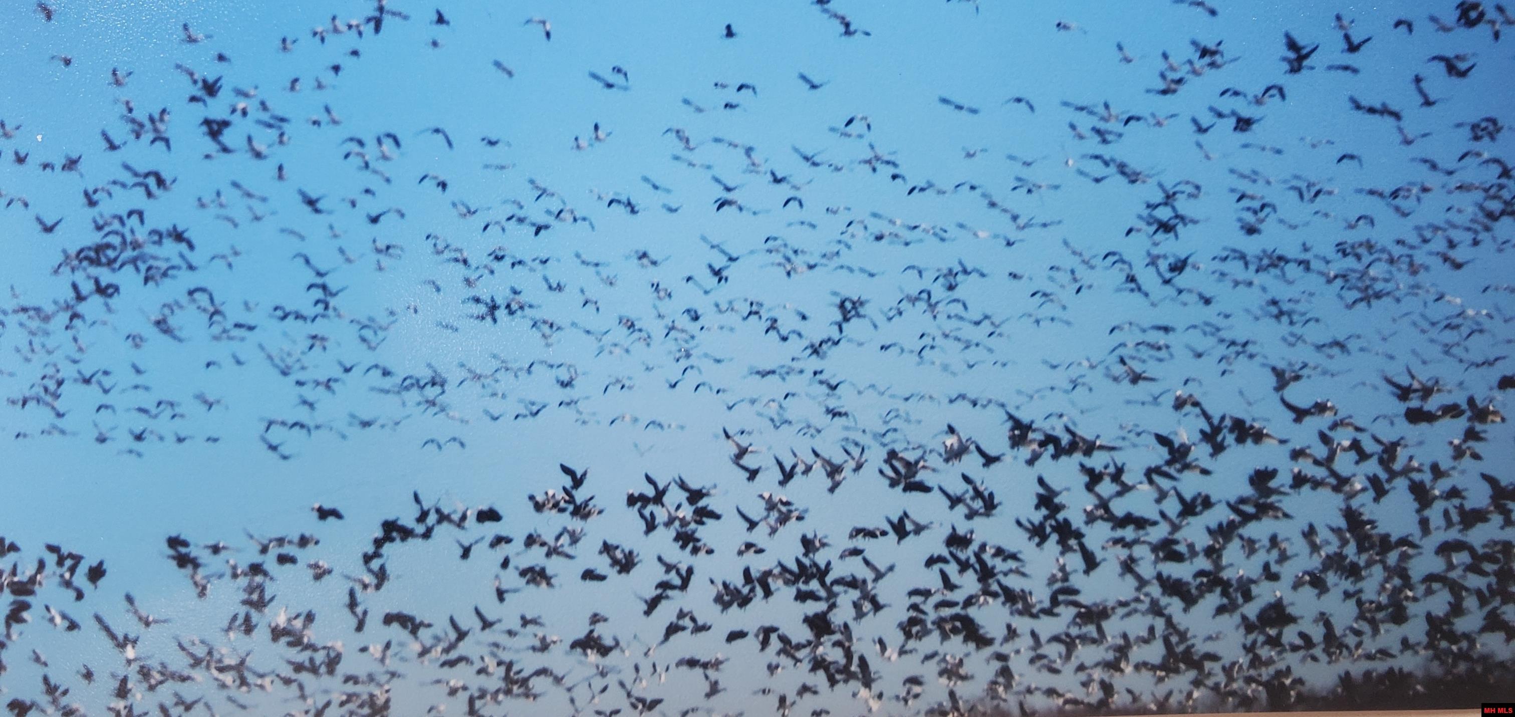 158 Clay 125 Rd MC 125 Corning, AR 72422