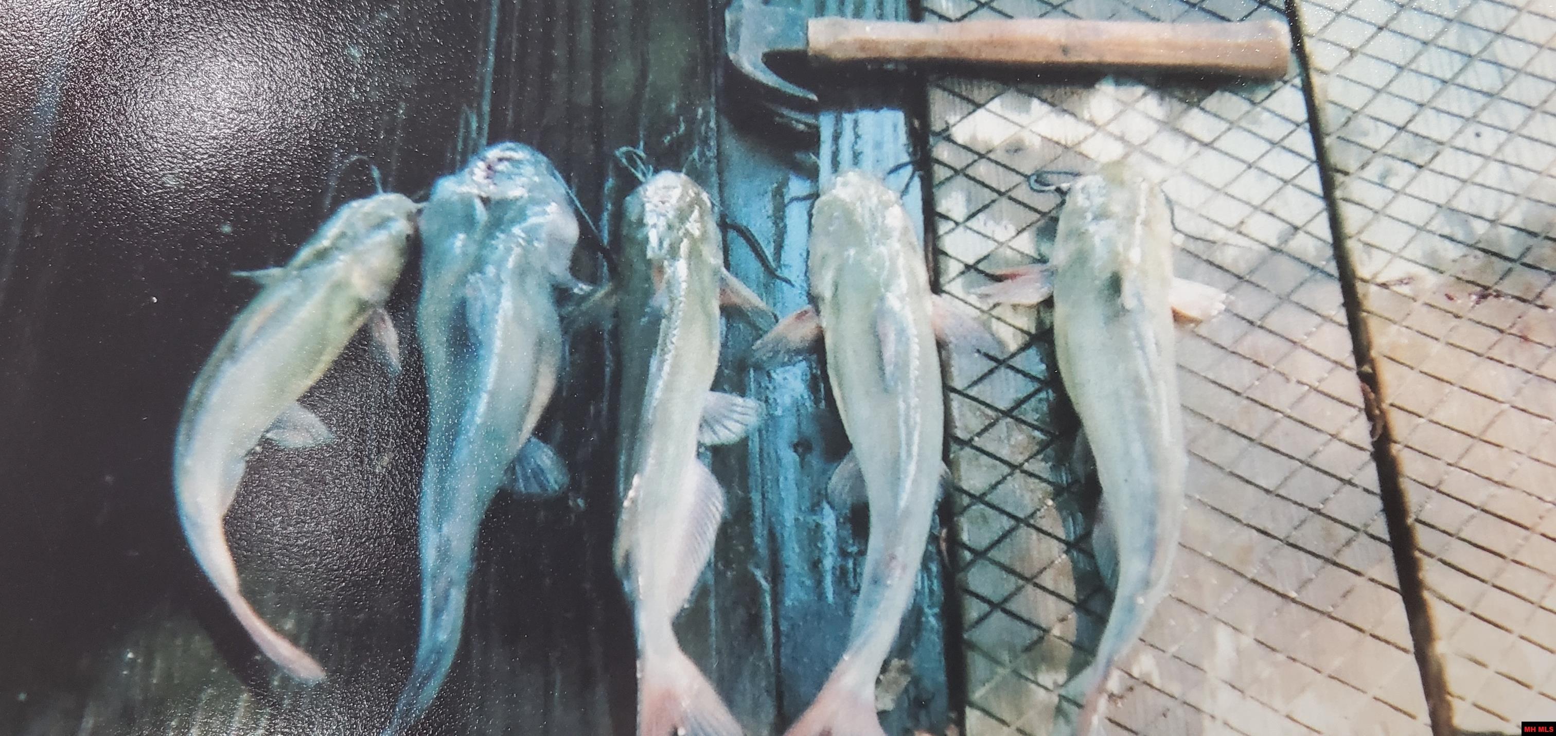 158 Clay 125 Rd MC 125 Corning, AR 72422