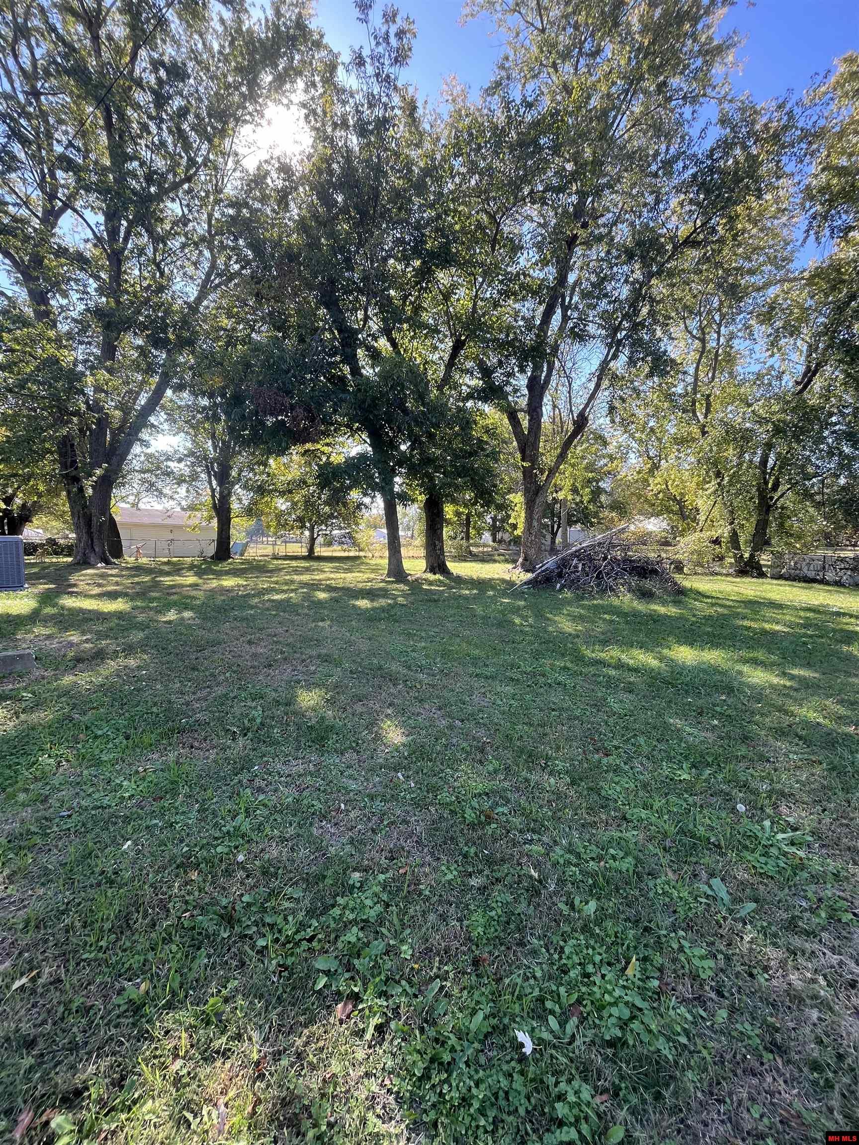 31 HWY 223 SOUTH Viola, AR