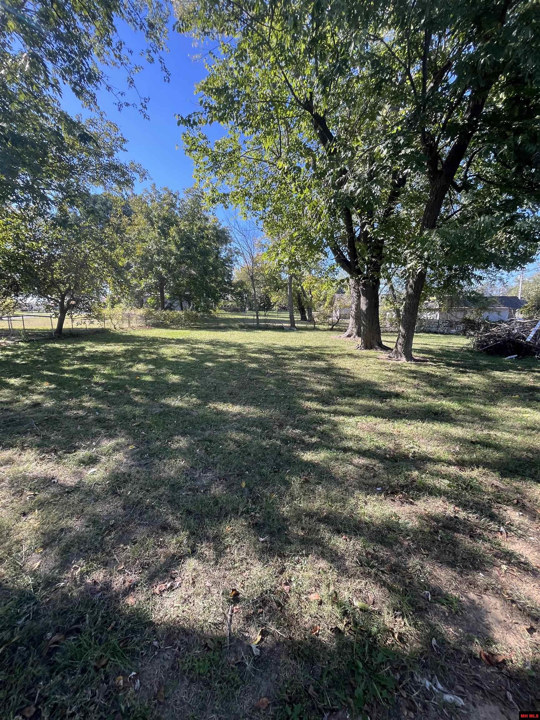 31 HWY 223 SOUTH Viola, AR