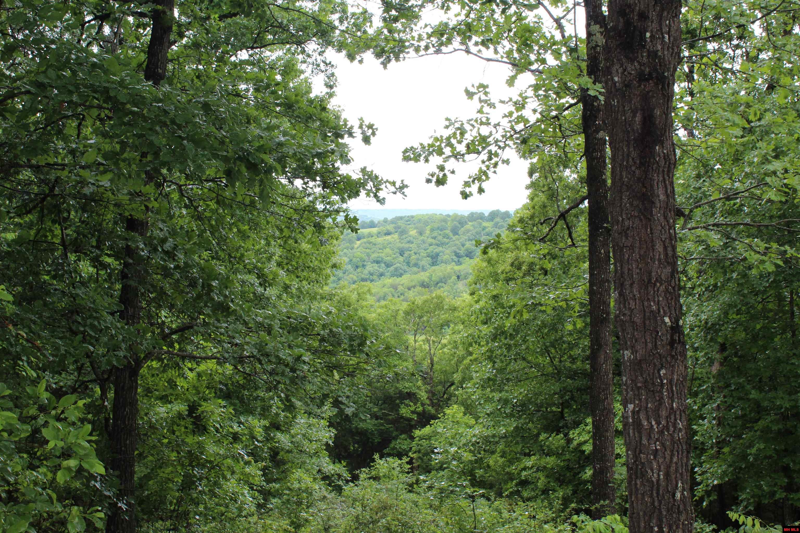 001-08869-000 Mc 8118