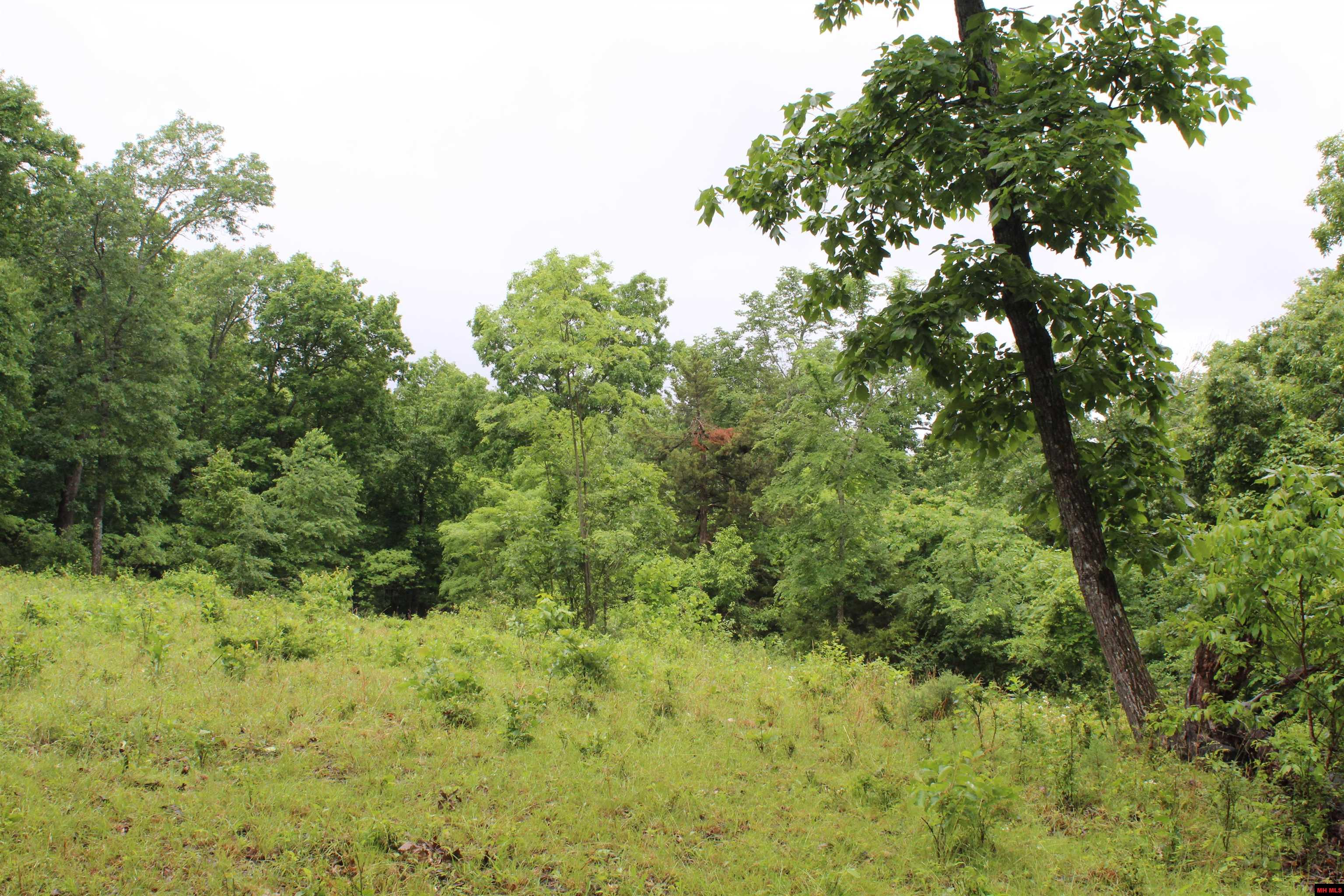 001-08869-000 Mc 8118