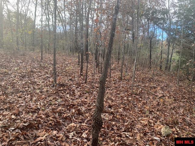 59 CLAY MOUNTAIN LANE Mountain Home, AR