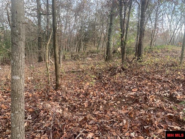 59 CLAY MOUNTAIN LANE Mountain Home, AR