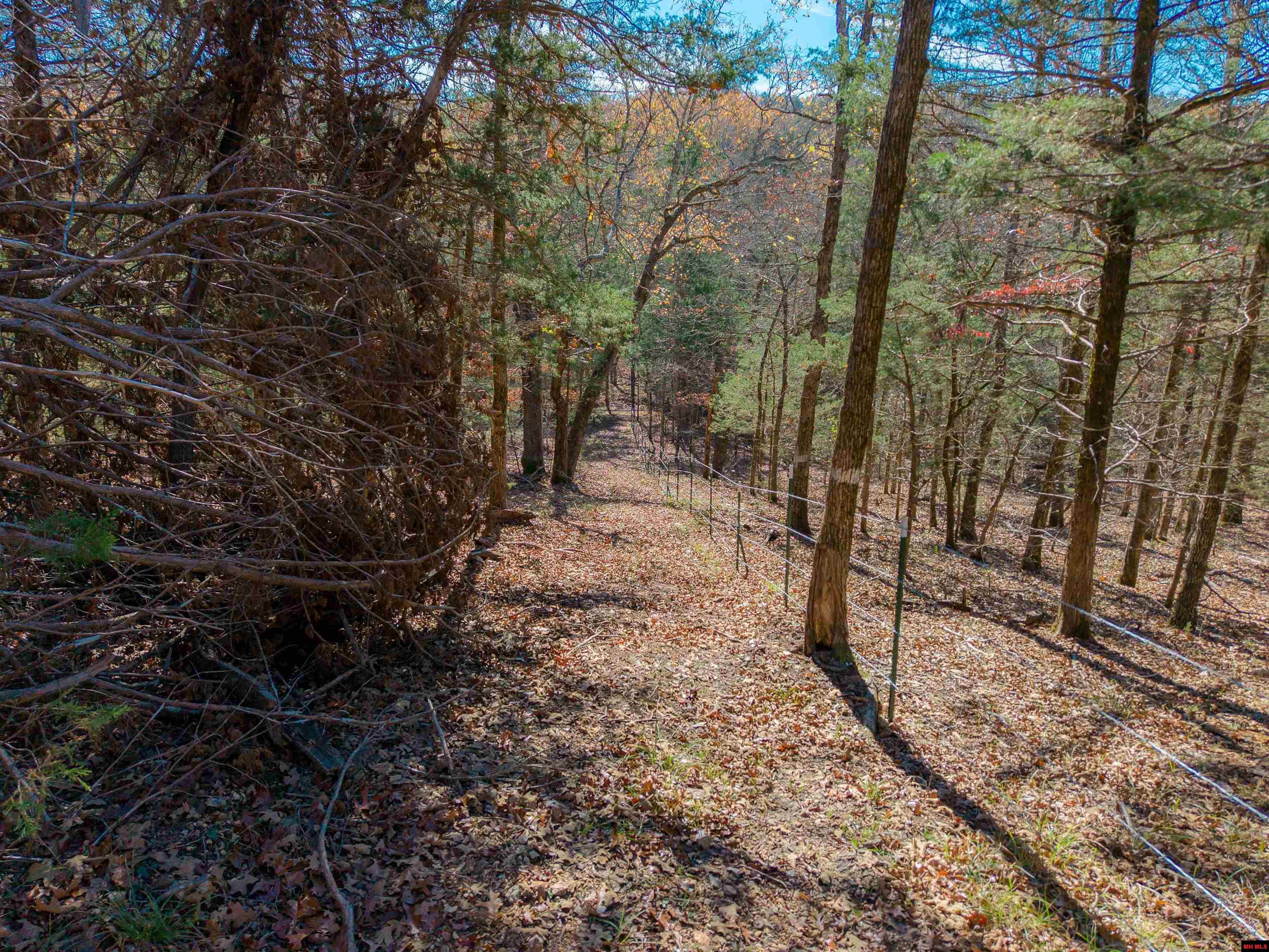 563 MC 122 Oakland, AR