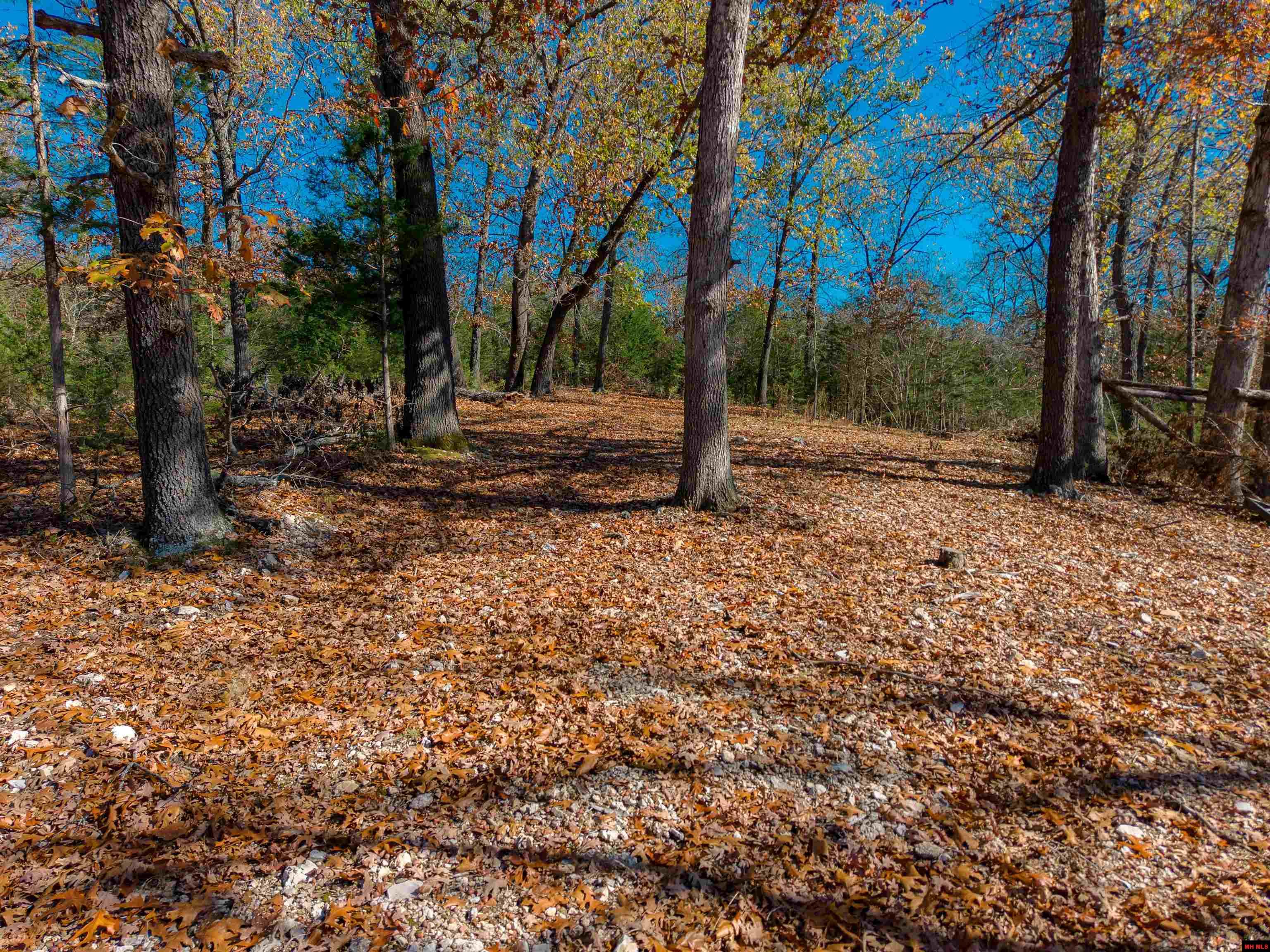563 MC 122 Oakland, AR