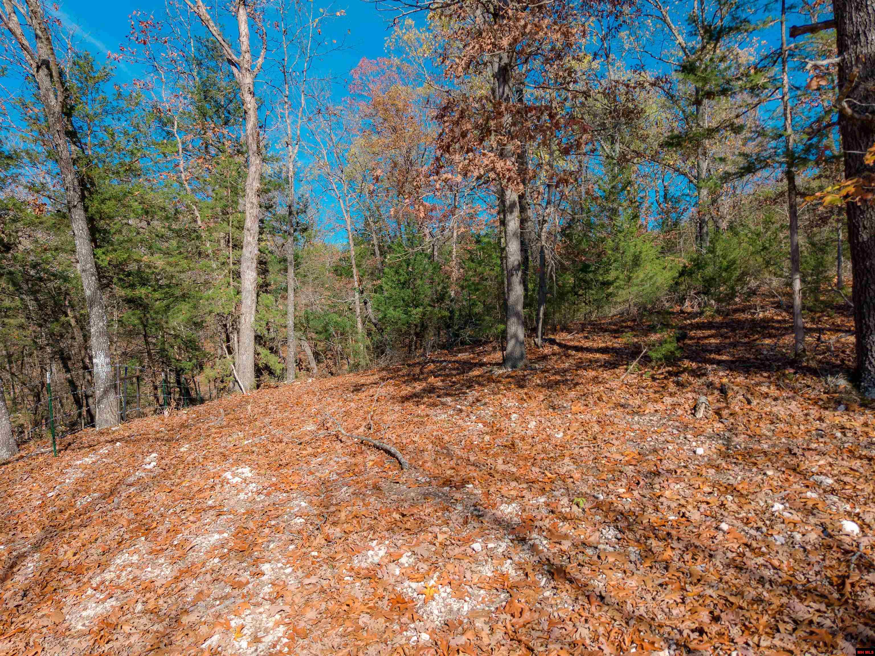 563 MC 122 Oakland, AR