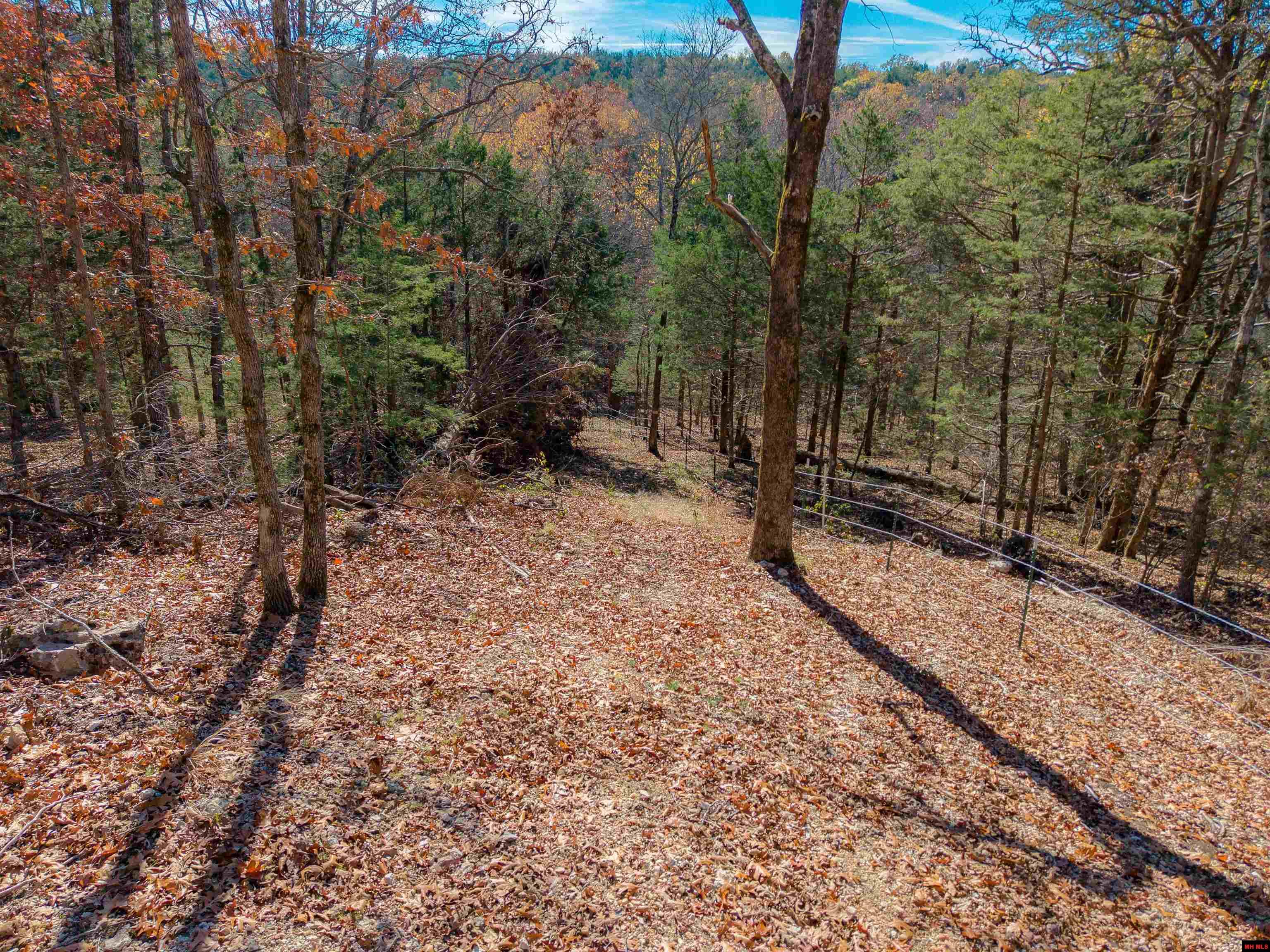 563 MC 122 Oakland, AR