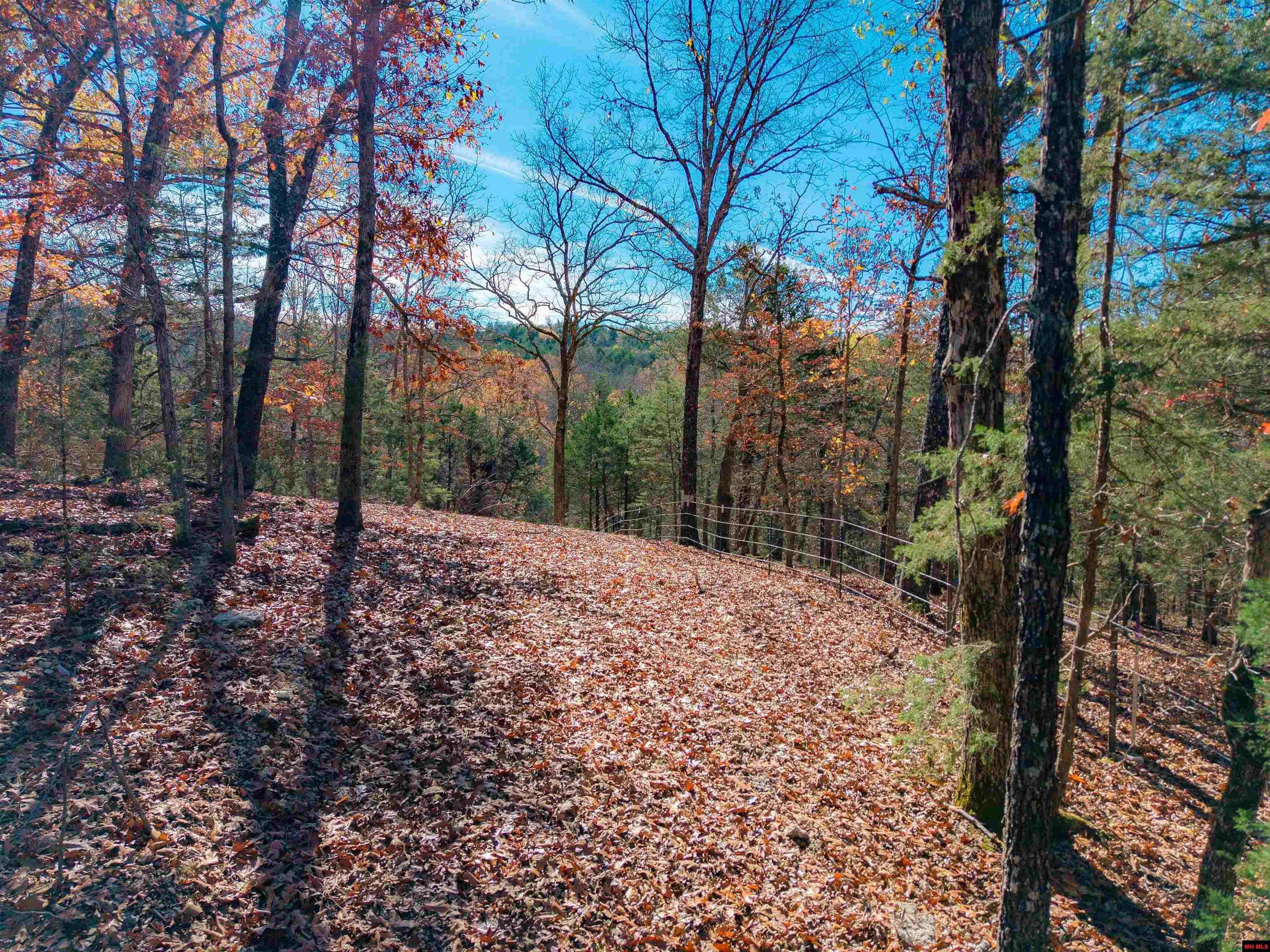 563 MC 122 Oakland, AR
