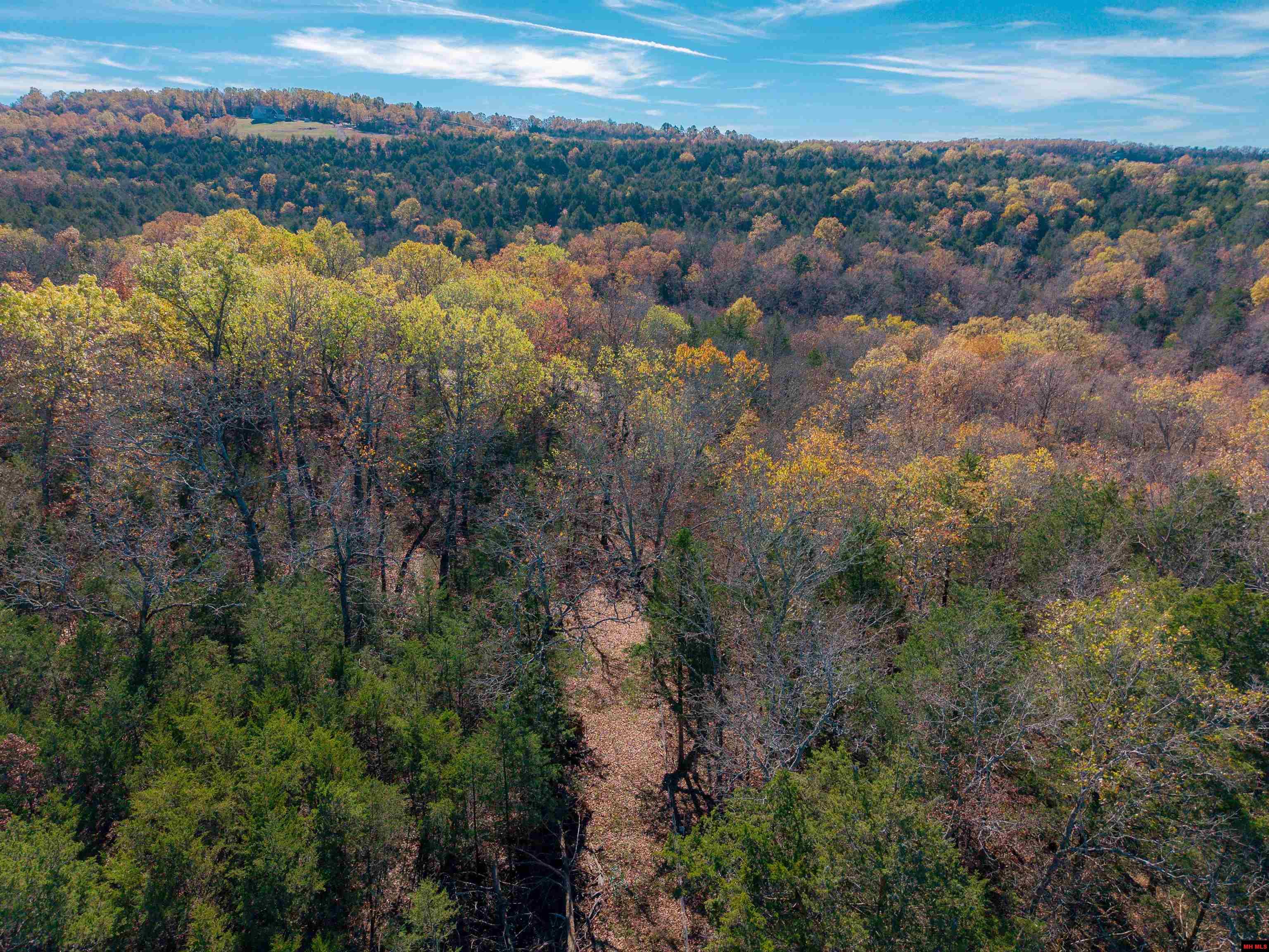 563 MC 122 Oakland, AR