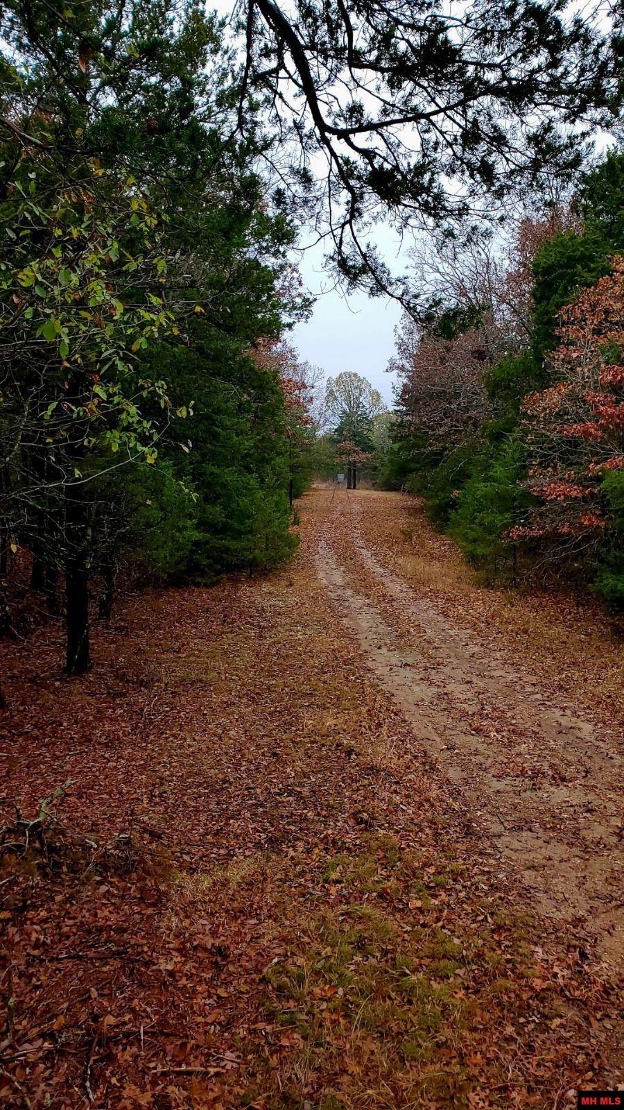 563 MC 122 Oakland, AR