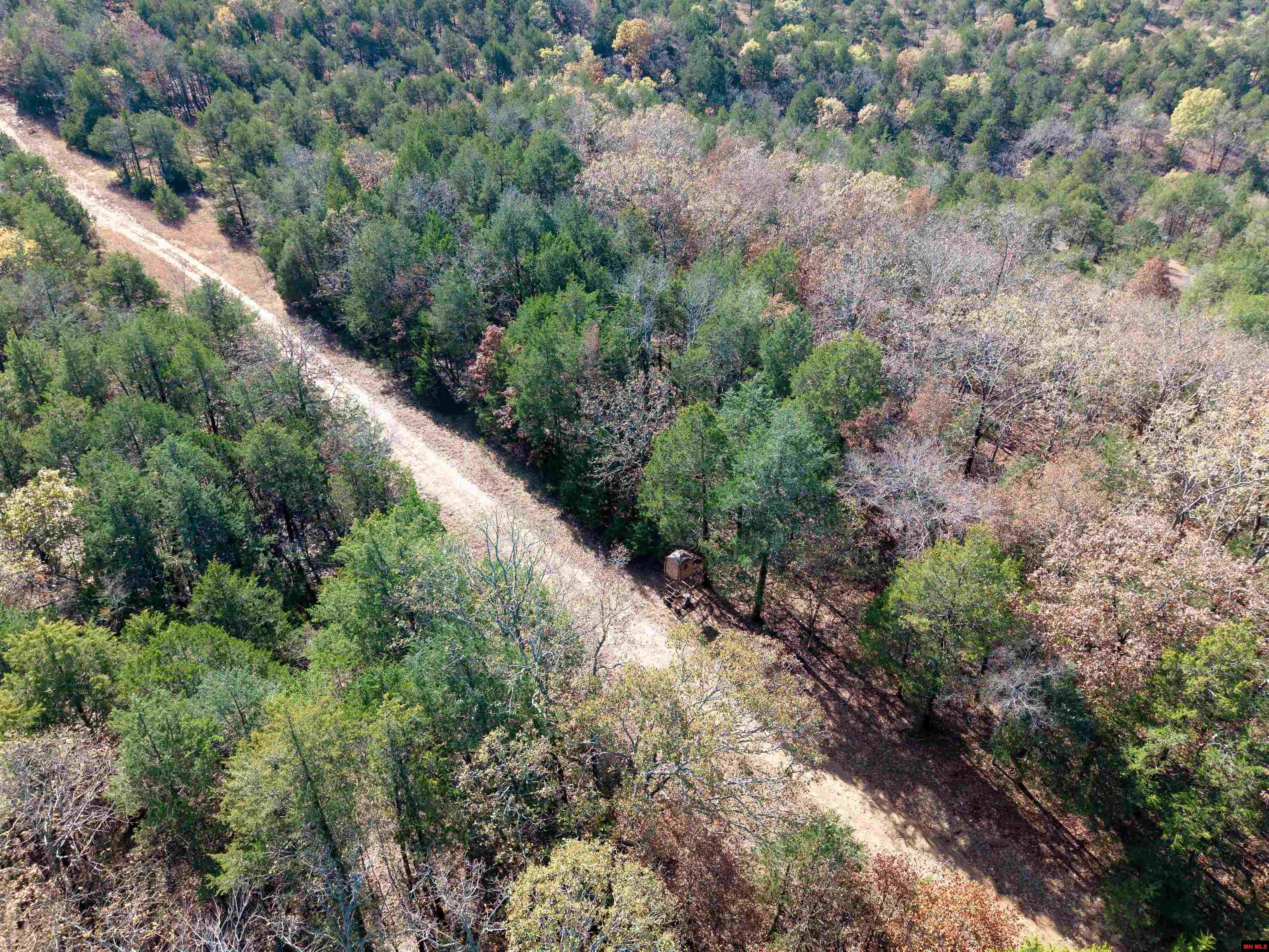 563 MC 122 Oakland, AR