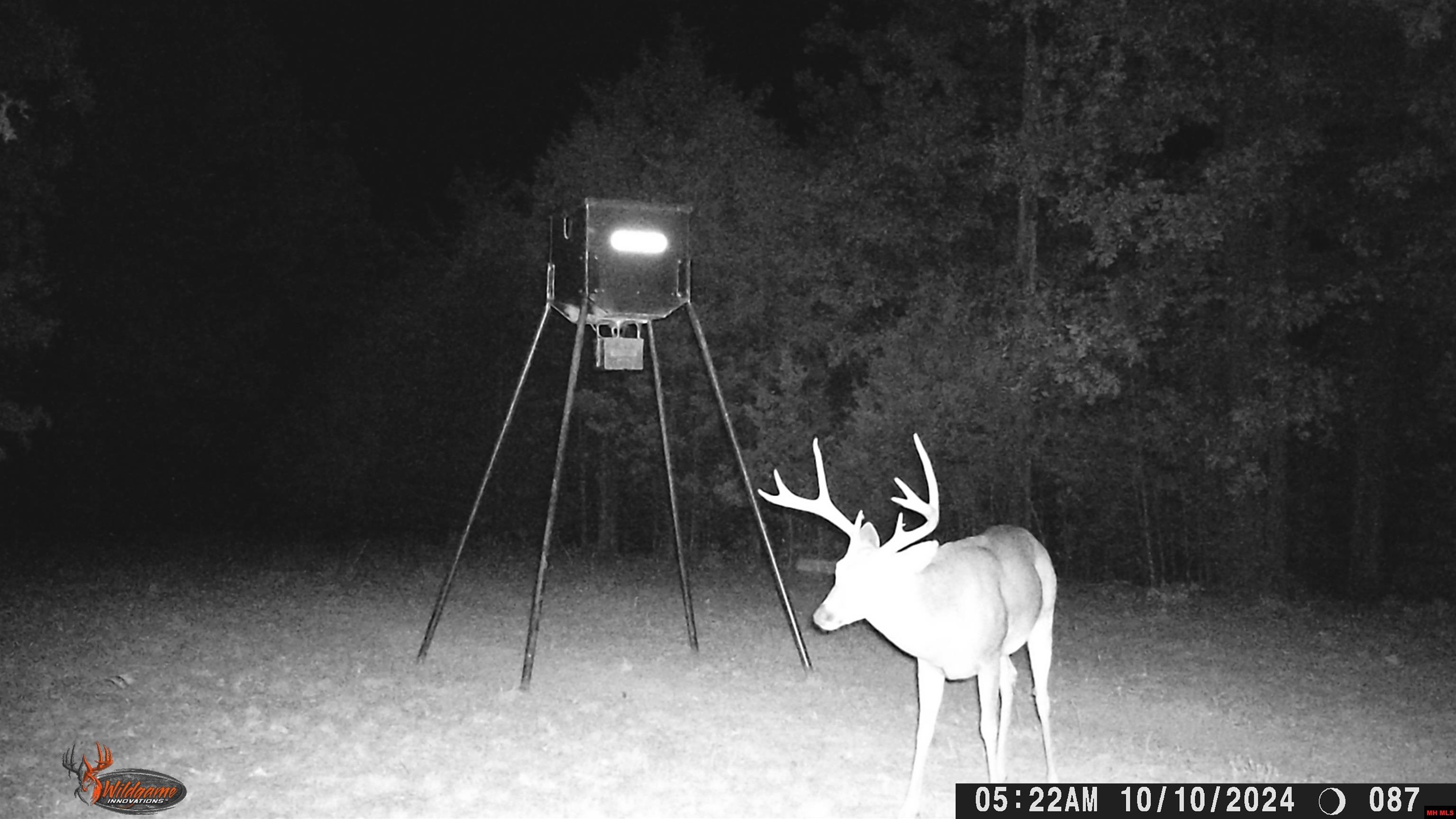 563 MC 122 Oakland, AR