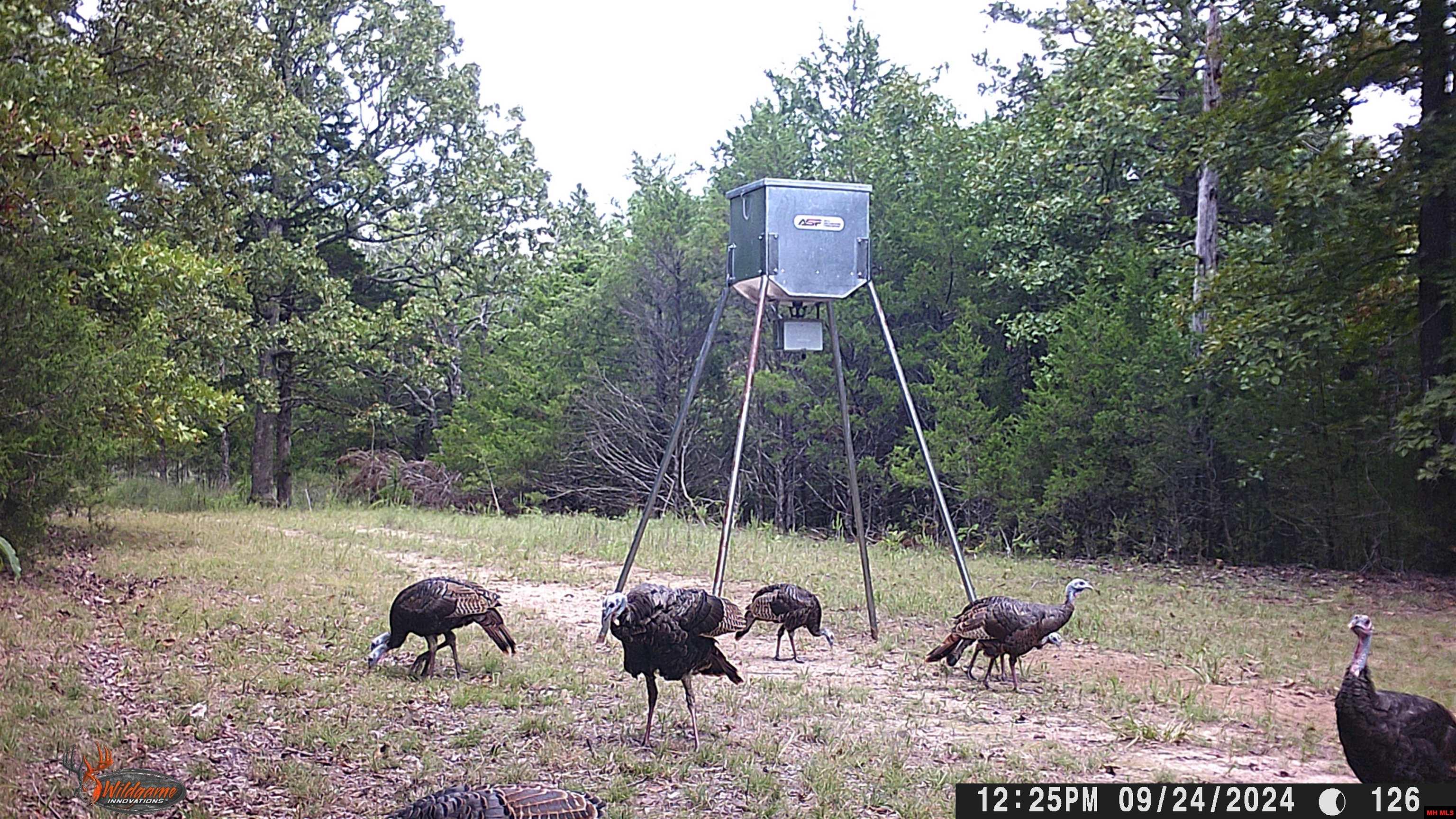 563 MC 122 Oakland, AR