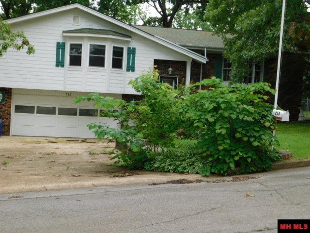 713 OAK KNOLL DRIVE Mountain Home, AR