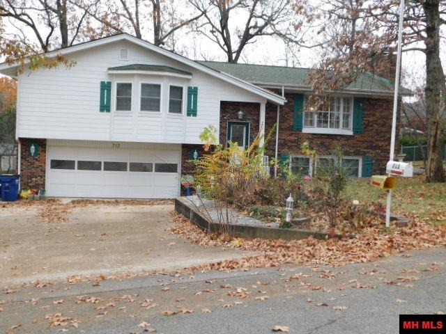 713 OAK KNOLL DRIVE Mountain Home, AR