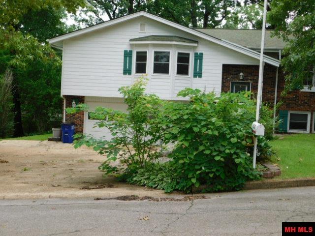 713 OAK KNOLL DRIVE Mountain Home, AR