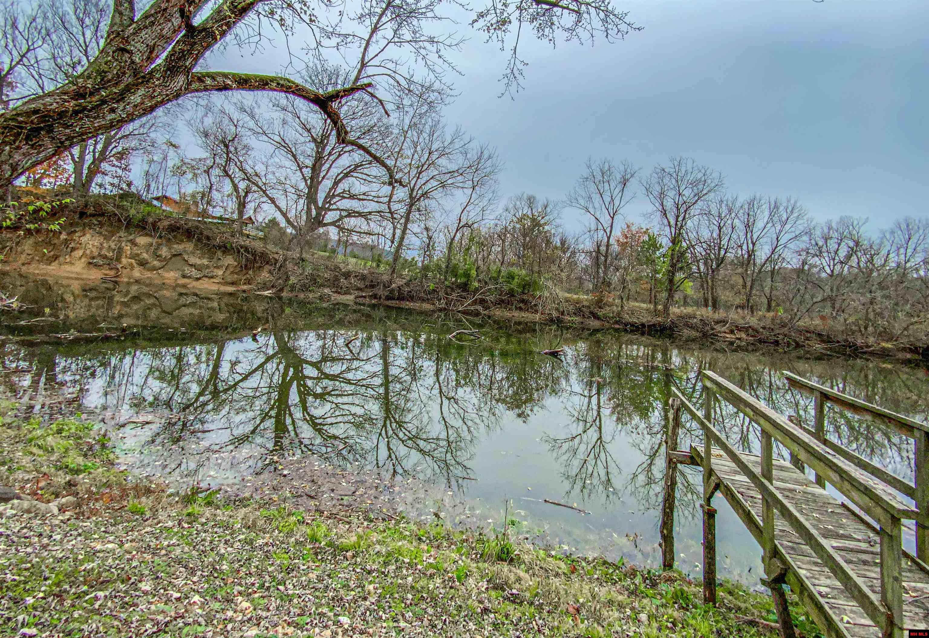 170 LITTLE LANE Cotter, AR