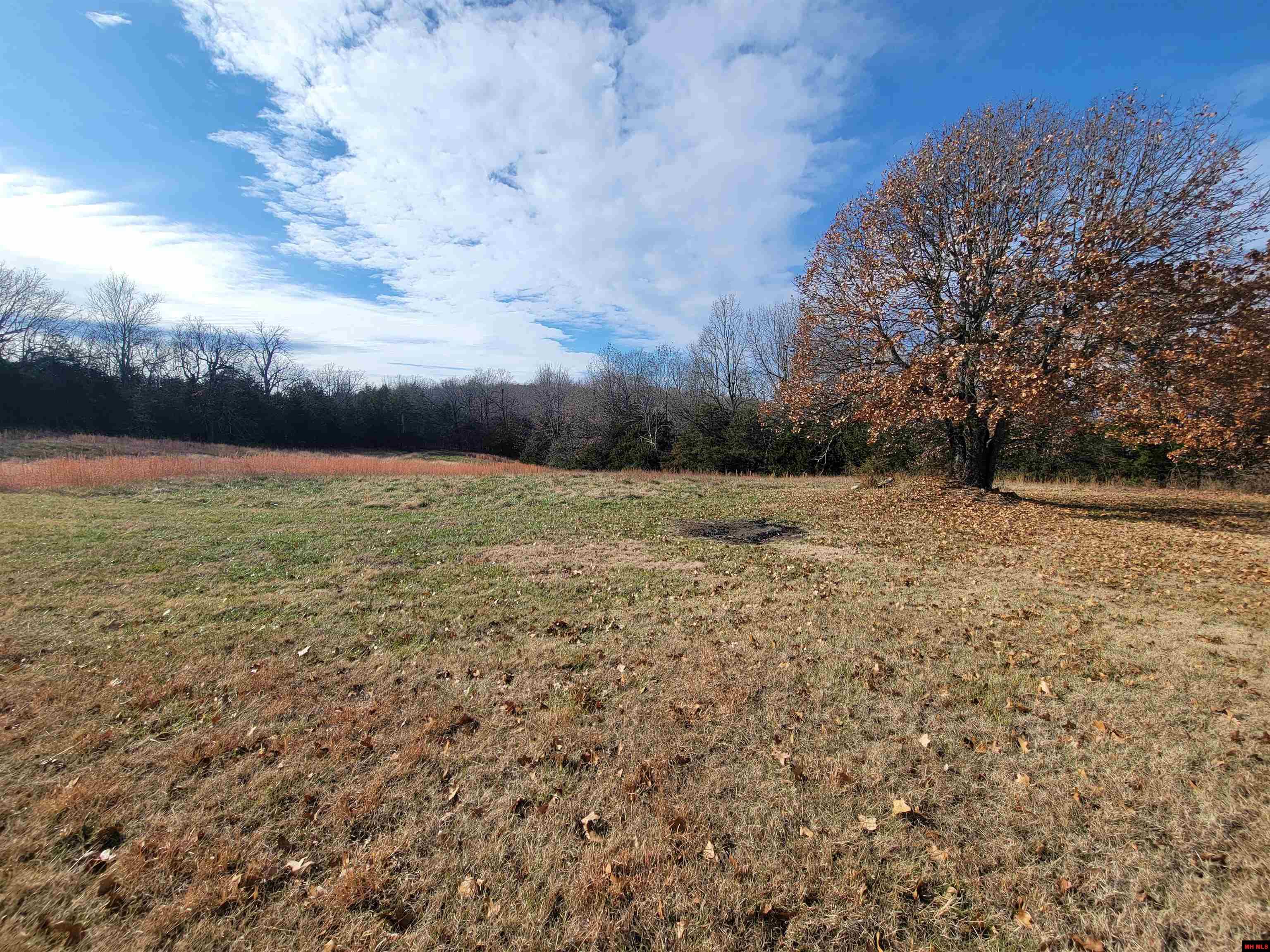 331 WYANDOTTE DRIVE Gainesville, MO 65655