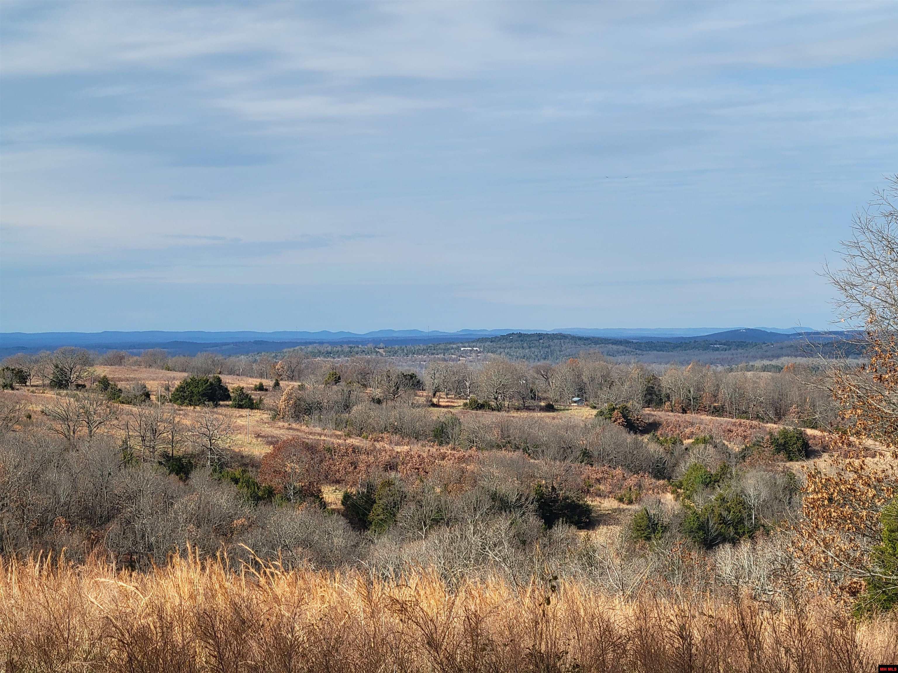 331 WYANDOTTE DRIVE Gainesville, MO 65655