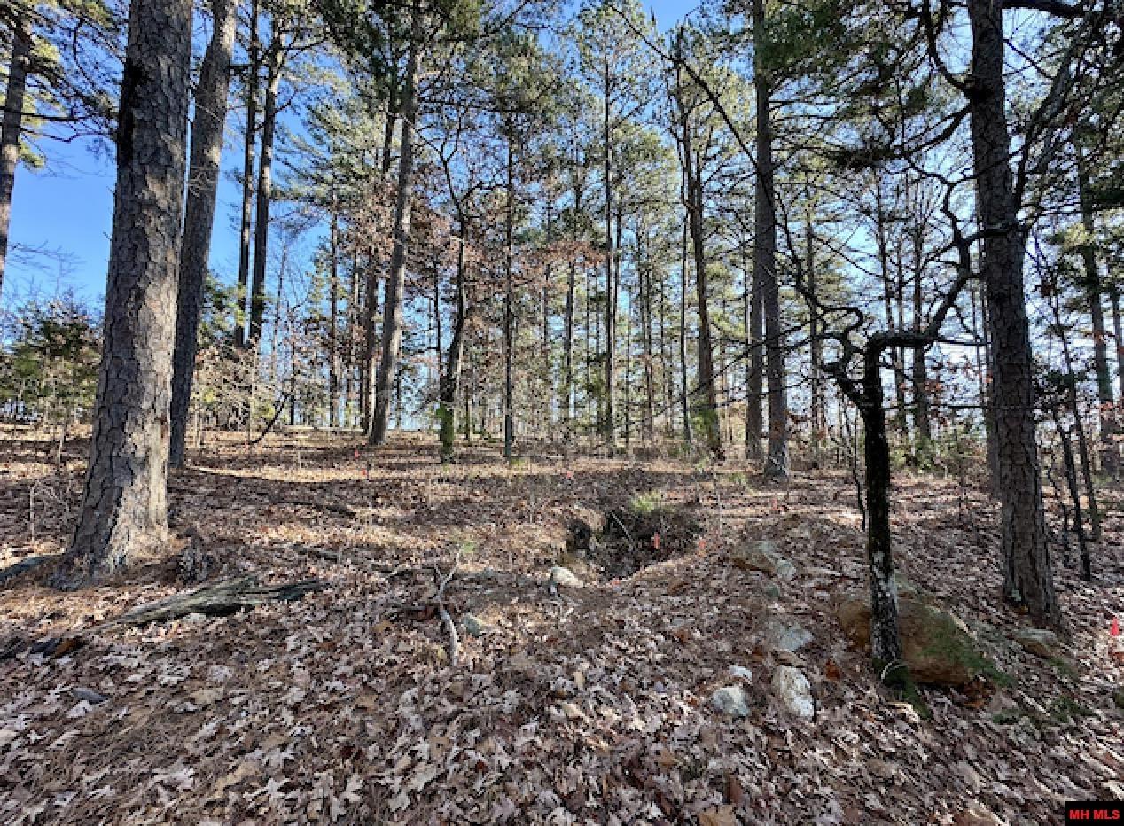 Lot 40 SWISS ALPS LANE Mountain Home, AR